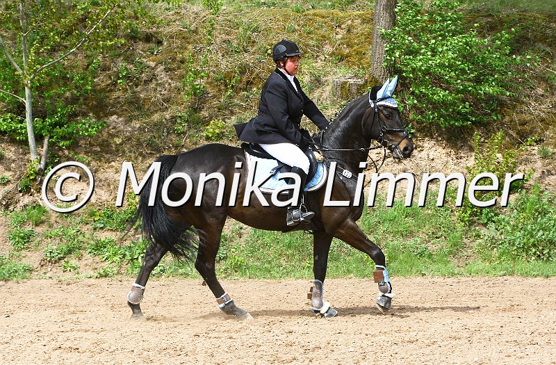 004M2290_J_Dremes S_Stilspring WB_e.jpg